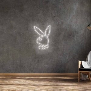 LED neono ženklas "KIŠKIS"